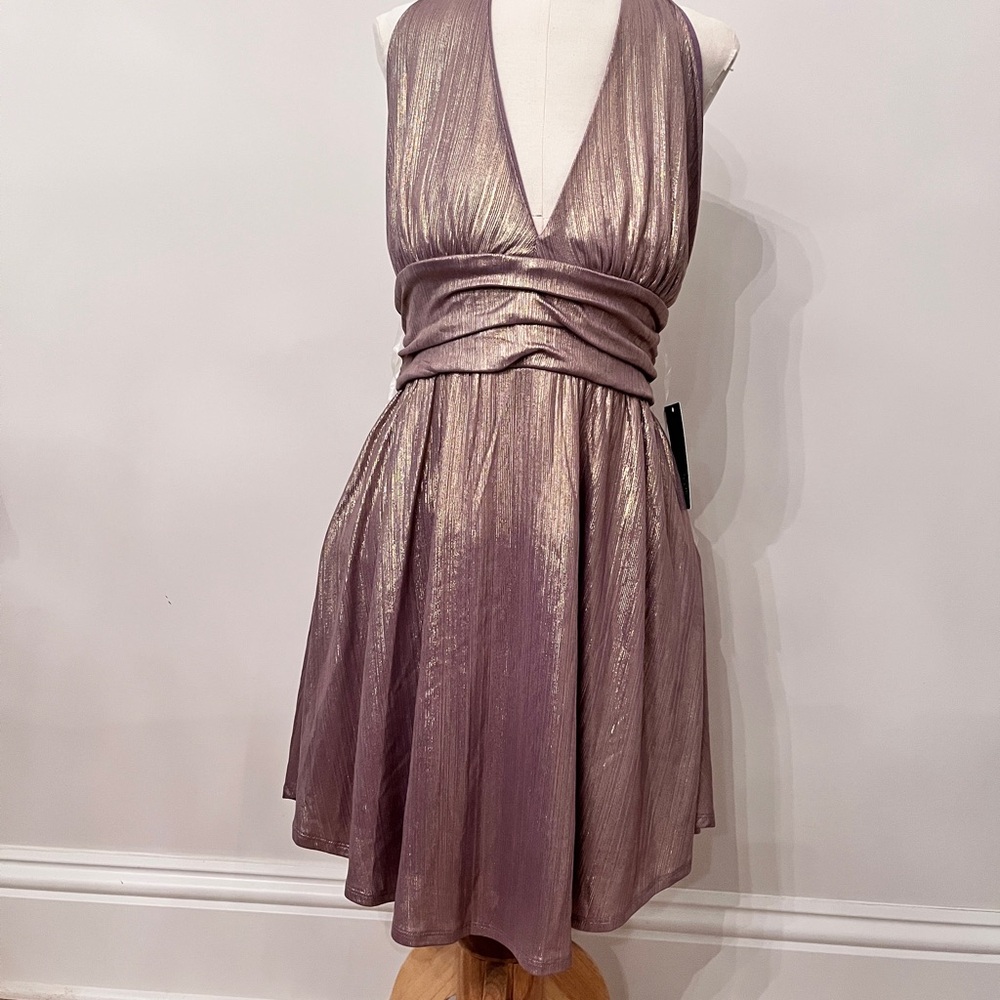 Wild Fable Shimmering Purple Backless Dress